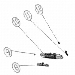 Griffachse (Kennzeichen Nr. 11)