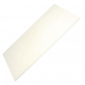 Originale Glasablage 490x345 mm