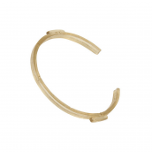 Ring für Kombisauger