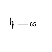 Zündkerze 750mm original Euro