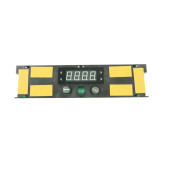 Elektronische Karte, Programmiertes Modul