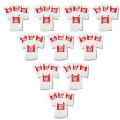 Satz von 10 Boxen mit 4 Beuteln Typ G 270 x 60 mm