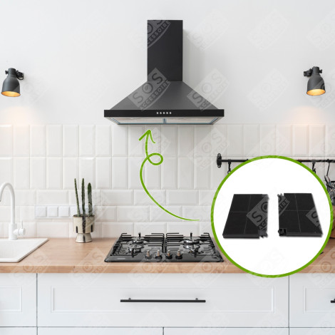 2ER SET KOHLEFILTER ROBLIN 5403002 23CM X 15CM DUNSTABZUGSHAUBE - 5403002, EFF55