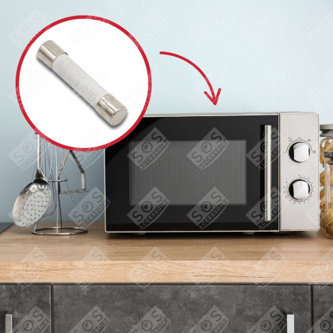 MIKROWELLEN-SICHERUNG 12A MIKROWELLE, MIKROWELLENHERD - 75X0120