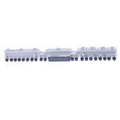 Elektronische Karte, Steuermodul