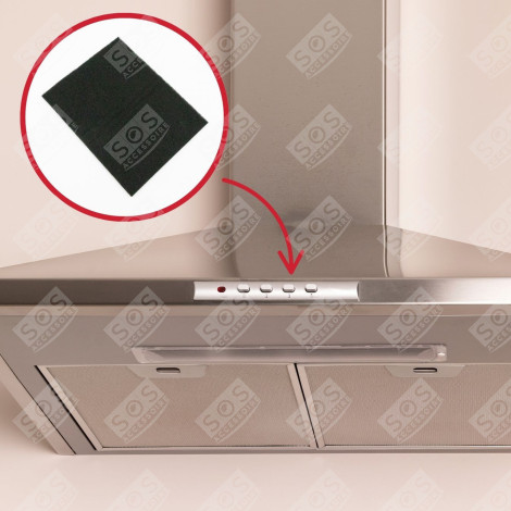 KOHLEFILTER (STÜCK) MIT BEFESTIGUNGSSTIFTEN DUNSTABZUGSHAUBE - AS6021727