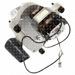 Kaffeemühlen-Mahlwerk