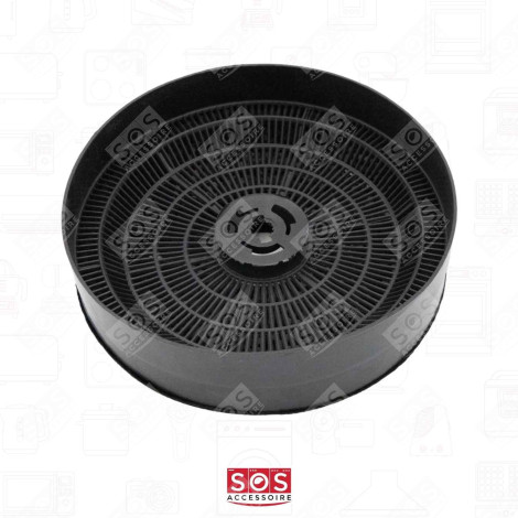 FILTRE CHARBON (X1) 172X44MM T