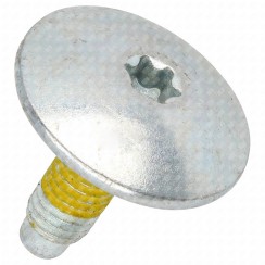 Schraube für Riemenscheibe