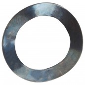 Original Balance-Scheibe 21,8 x 14