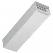 Glänzende Silberkassette