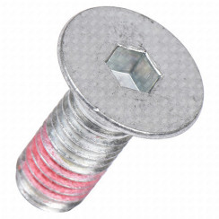 Riemenscheibenschraube