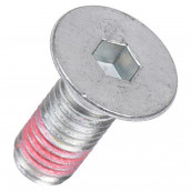 Riemenscheibenschraube