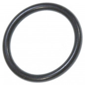 O-Ring Thermostat