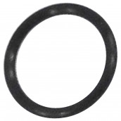 AT644 Dichtung des Fruchtpressers