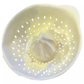 Zitruspresse komplett