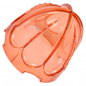 Roter Pampelmuse-Konus