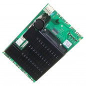 Elektronische Karte, Leistungsmodul