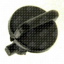 Schraube (für Kohlefilter-Halterung), original