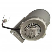 Motor (Stundenweise)