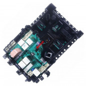 Programmierte Elektronikkarte (Kennzeichen 0204)