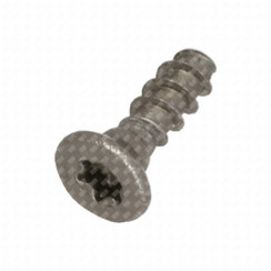 Schraube TSP Torx 10 3x10
