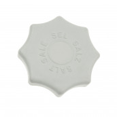 Salzbehälterverschluss