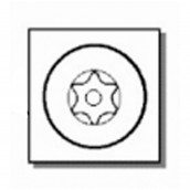 Endstück Tamper Torx T20x25