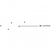 NESPRESSO VERTUO NEXT Fuß