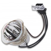 Original-Lampe 6912B22008C für Beamer