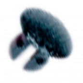 Türabdeckung schwarz