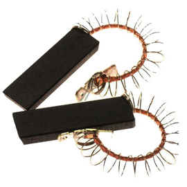 Der Motor ist defekt